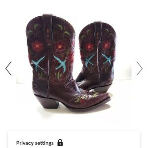 Dan Post Brown Embroidered Western Boots